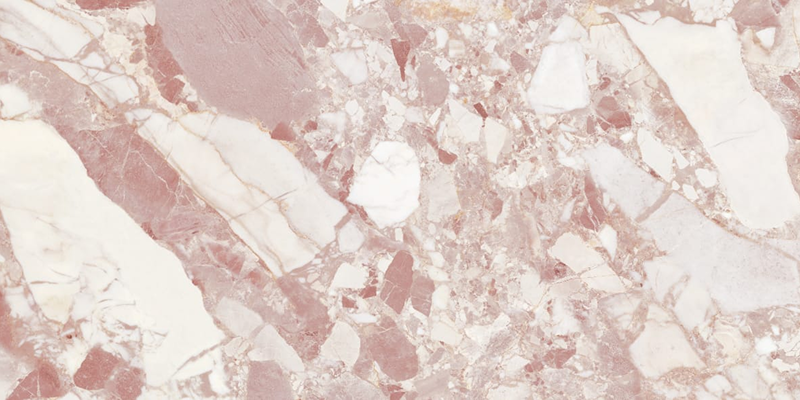 Home - Niche-Surfaces